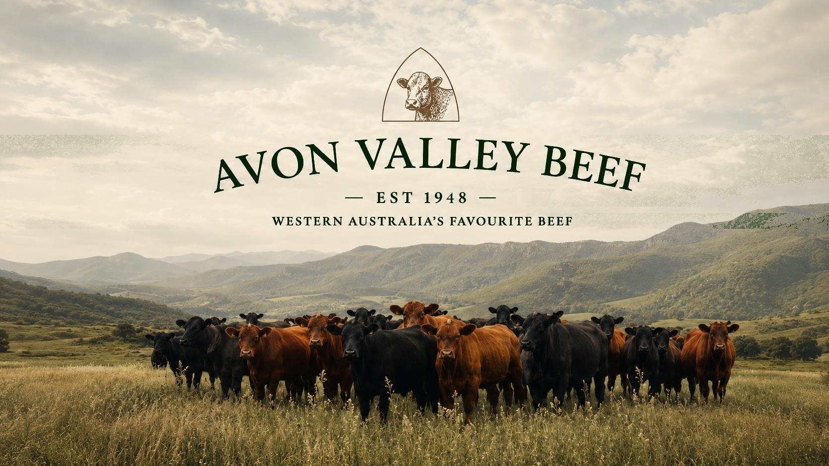 Avon Valley Beef cattle in the Avon Valley, Western Australia
